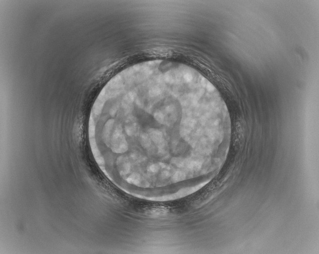 X0000114120600200911161140