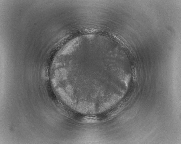 X0000114120606200911161140