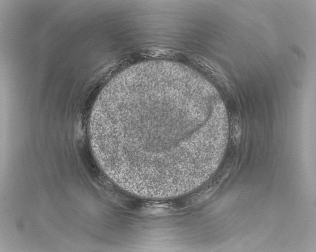 X0000114120607200911161140