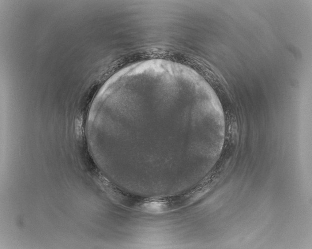 X0000114120610200911161140