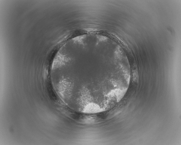 X0000114120618200911161140