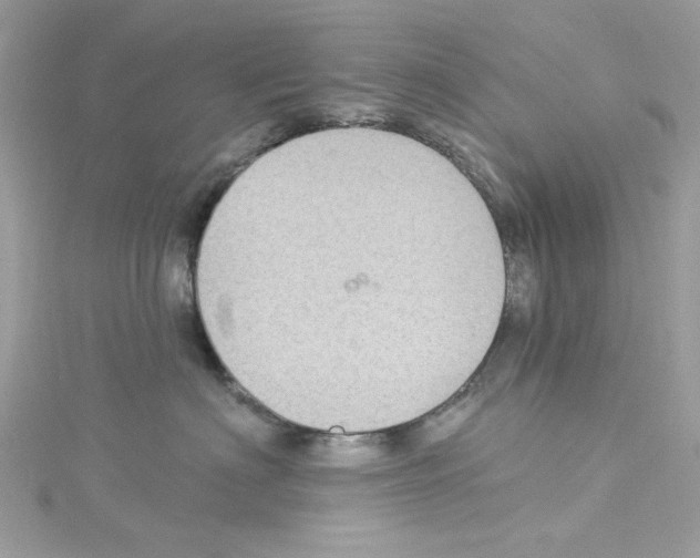 X0000114120622200911161140