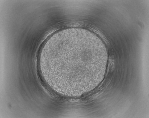 X0000114120626200911161139