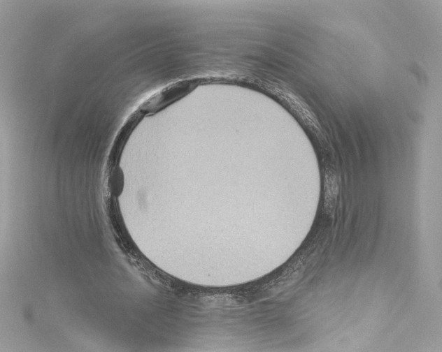 X0000114120628200911161139