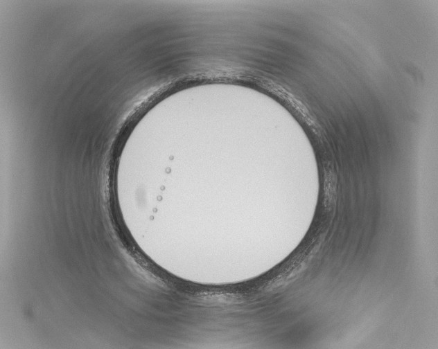 X0000114120629200911161139