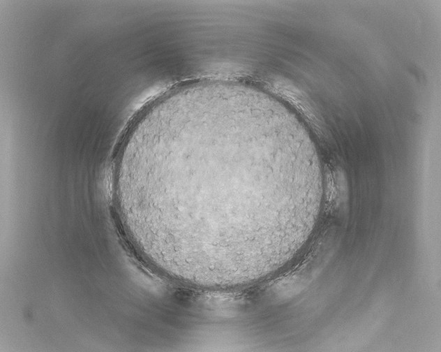 X0000114120632200911161139