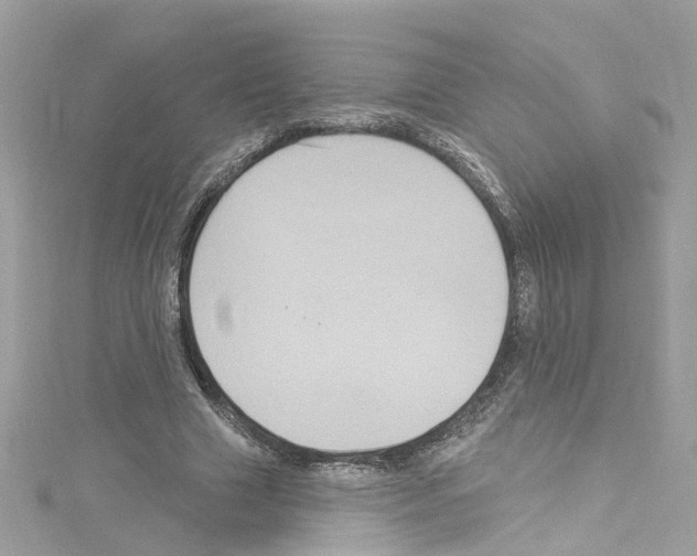 X0000114120633200911161139