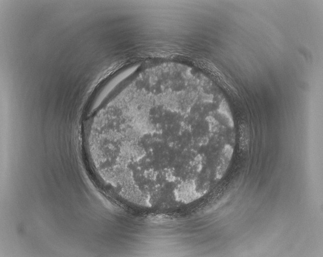 X0000114120634200911161140