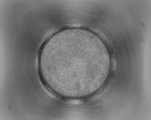 X0000114120638200911161140