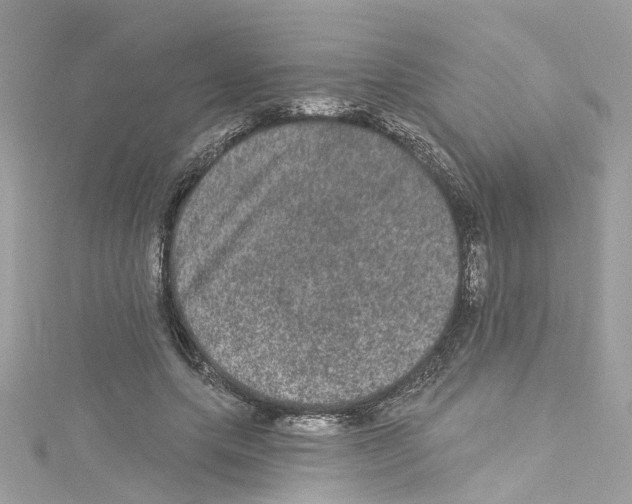 X0000114120639200911161140