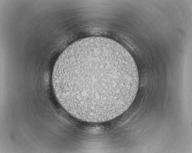 X0000114120646200911161140