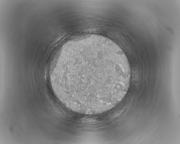 X0000114120648200911161140