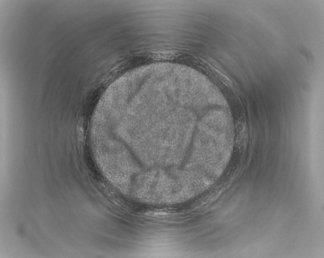 X0000114120655200911161140