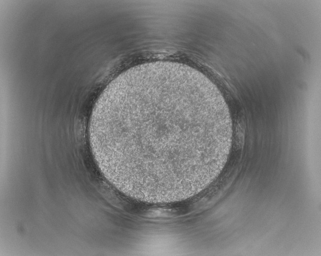 X0000114120657200911161140