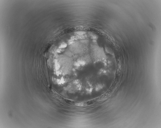 X0000114120659200911161140