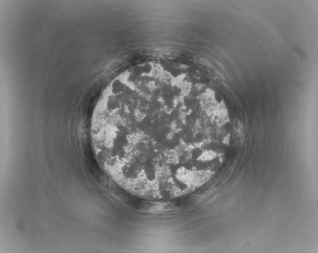 X0000114120663200911161140