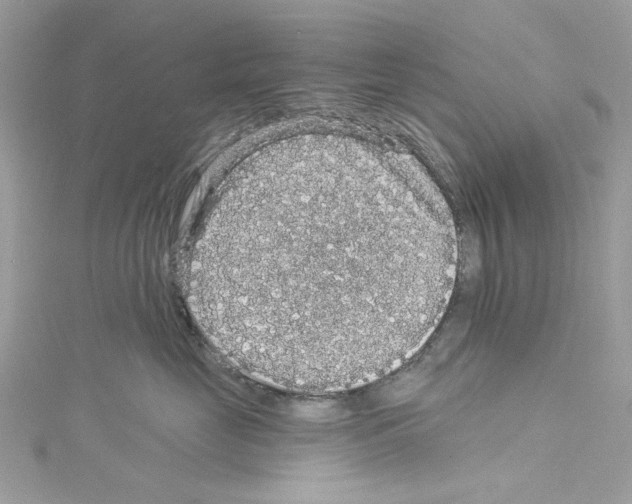 X0000114120669200911161140