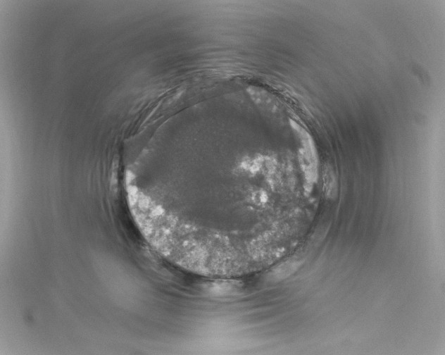 X0000114120670200911161140