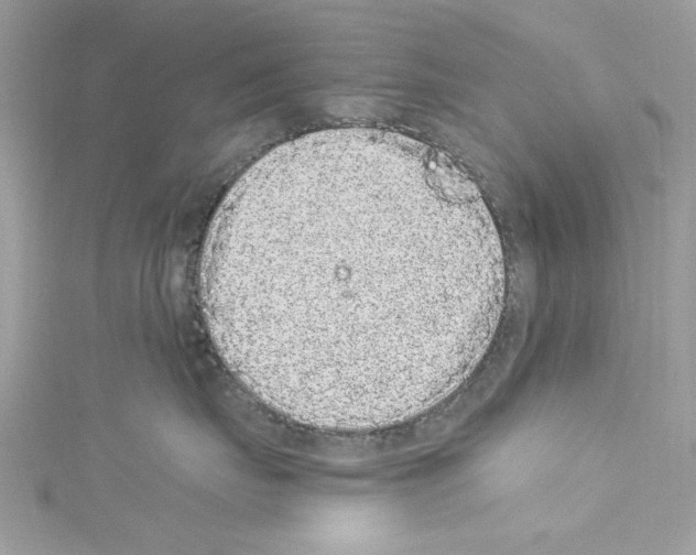 X0000114120671200911161140