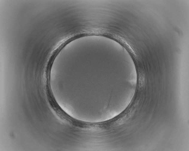 X0000114120674200911161139