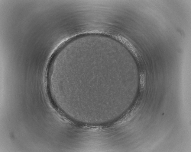 X0000114120676200911161139