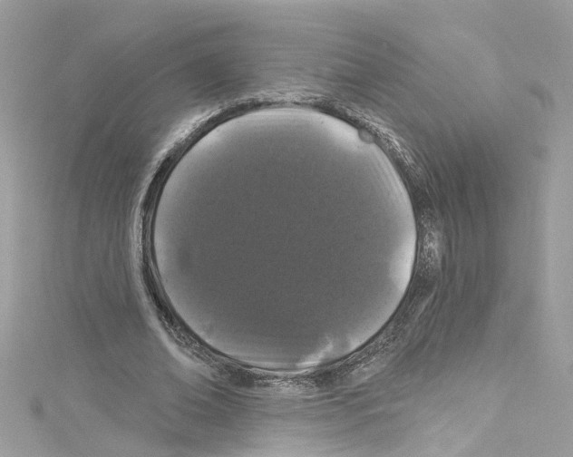 X0000114120678200911161139