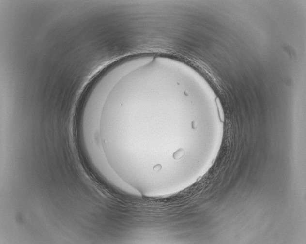 X0000114120680200911161139