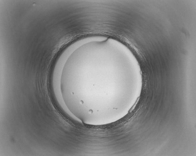 X0000114120685200911161139