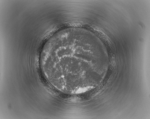 X0000114120696200911161139