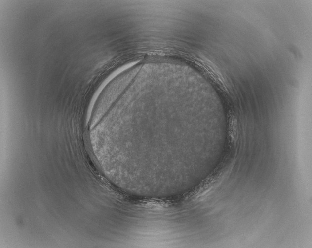 X0000114120697200911161139