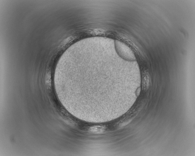 X0000114120700200911161139