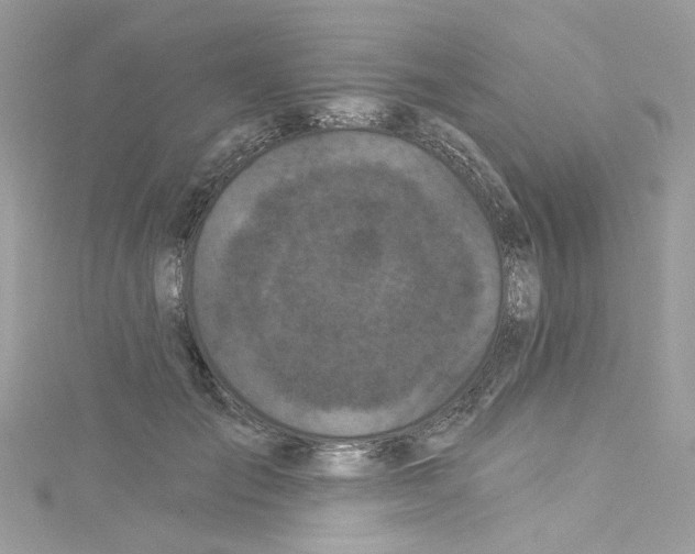 X0000114120701200911161139