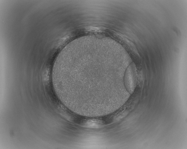 X0000114120708200911161139