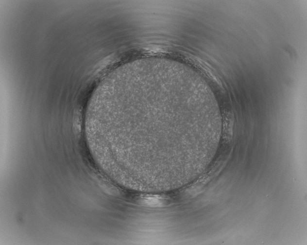 X0000114120710200911161139