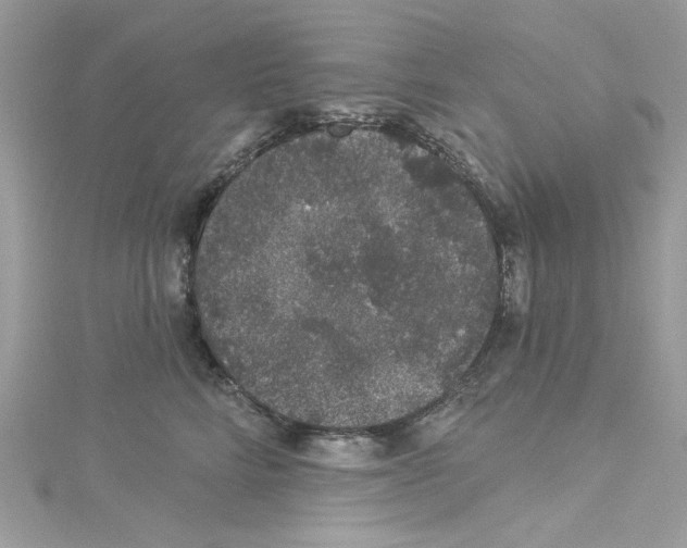 X0000114120712200911161139