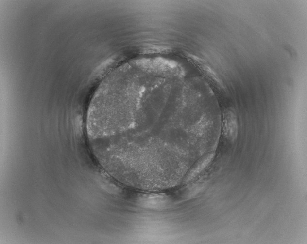 X0000114120716200911161139