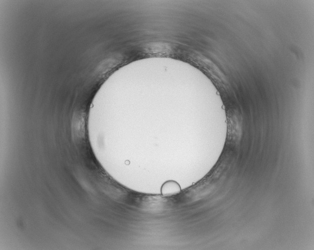 X0000114120717200911161139