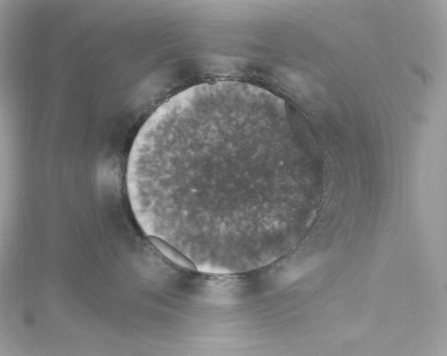 X0000114120720200911161139