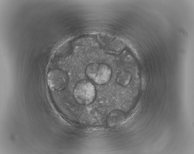 X0000114120721200911161138