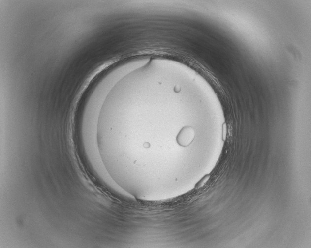 X0000114120724200911161138