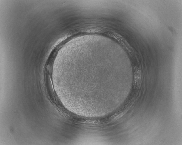 X0000114120727200911161138