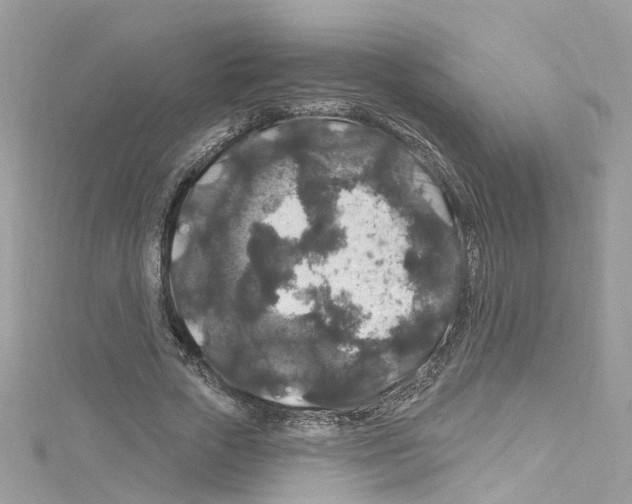 X0000114120729200911161138