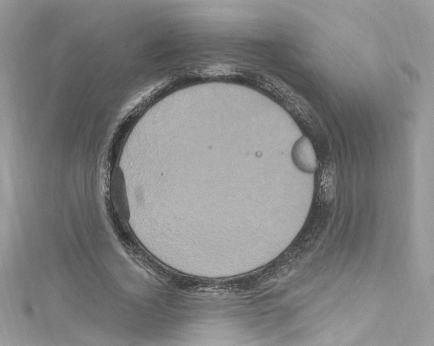 X0000114120732200911161138