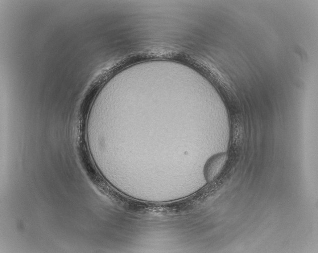 X0000114120736200911161138