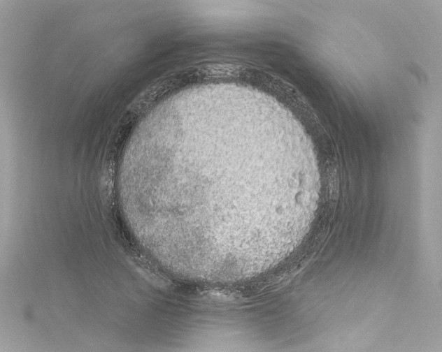 X0000114120737200911161138