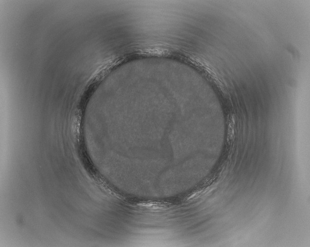 X0000114120739200911161138