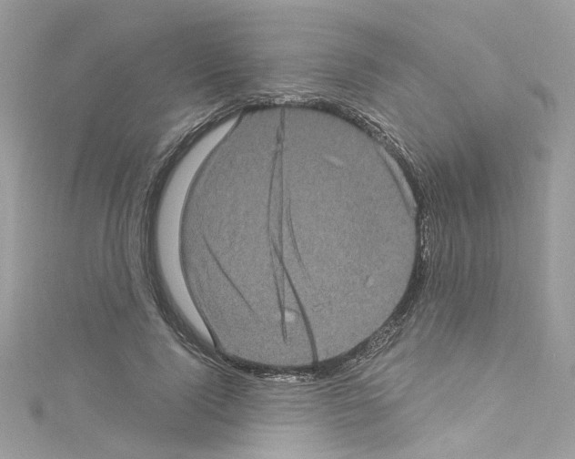 X0000114120740200911161138