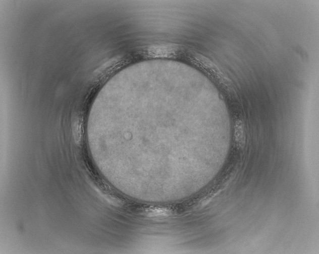 X0000114120741200911161138