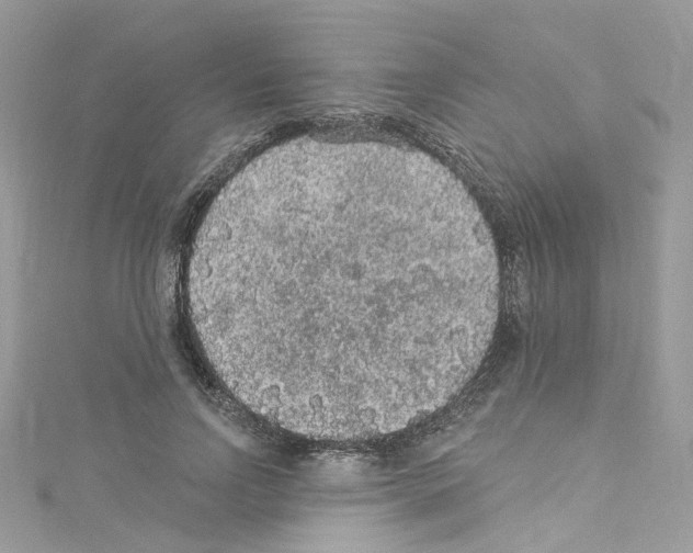 X0000114120742200911161138