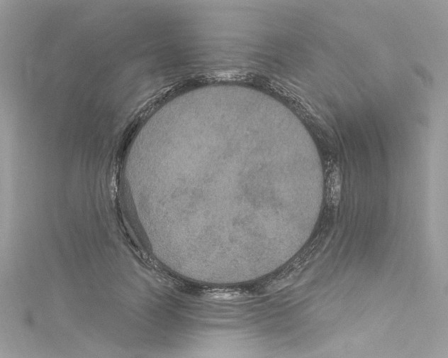 X0000114120746200911161138